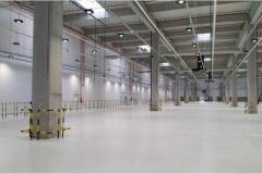 WDP-Park-Codlea2